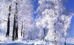 A tél szépsége